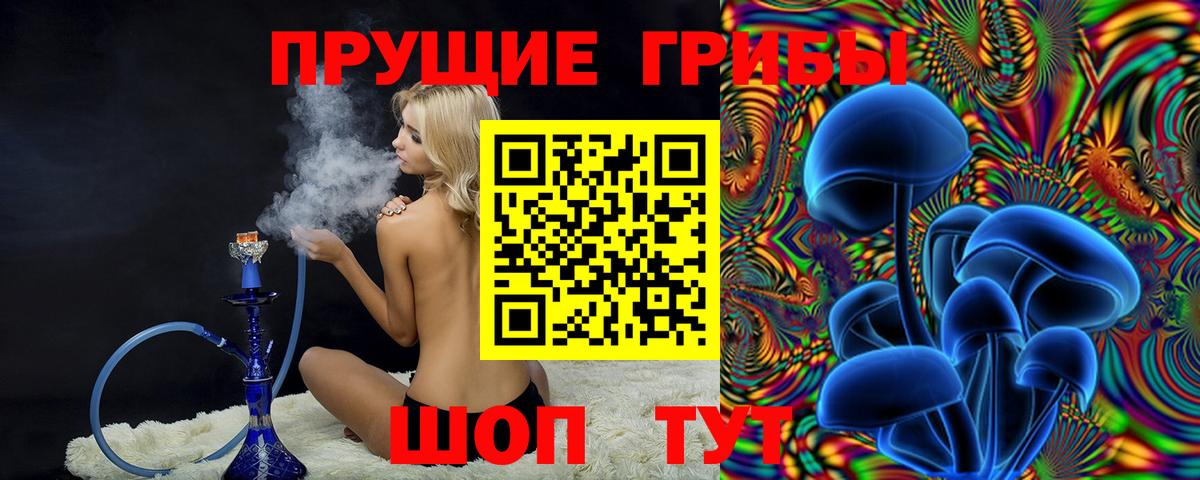Псилоцибиновые грибы GOLDEN TEACHER  купить наркотик  Галлюциногенные грибы мицелий  Дубна  Вход с VPN 